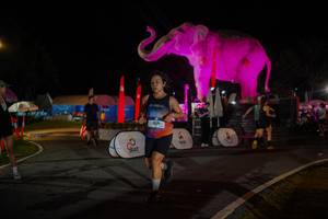 BIB: 
                            <button type="button" onclick="openModal(26552145)" class="btn btn-primary btn-sm float-right btn-popup" data-toggle="modal" data-target=".modal-high-quality">
                        <i class="fas fa-shopping-cart"></i> Add to Cart
                    </button>
                                            <button type="button" onclick="isThisMe(26552145, true)" class="btn btn-success btn-sm float-right btn-popup btn-isme hidden" data-toggle="tooltip" data-placement="bottom" title="นี่คือรูปของคุณใช่ไหม คลิกที่นี่เพื่อเอาเข้าอัลบั้ม">
                        <i class="fas fa-plus"></i> Add to album
                    </button>
                    <button type="button" onclick="isThisMe(26552145, false)" class="btn btn-warning btn-sm float-right btn-popup btn-isnotme hidden">
                        <i class="fas fa-ban"></i> Remove from album
                    </button>